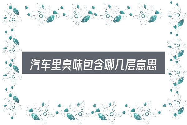 汽车里臭味包含哪几层意思