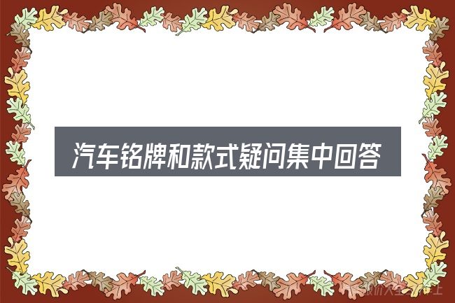 汽车铭牌和款式疑问集中回答