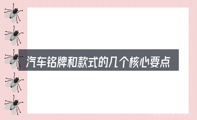 汽车铭牌和款式的几个核心要点