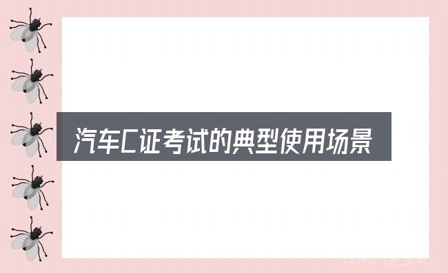 汽车C证考试的典型使用场景
