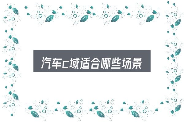 汽车c域适合哪些场景