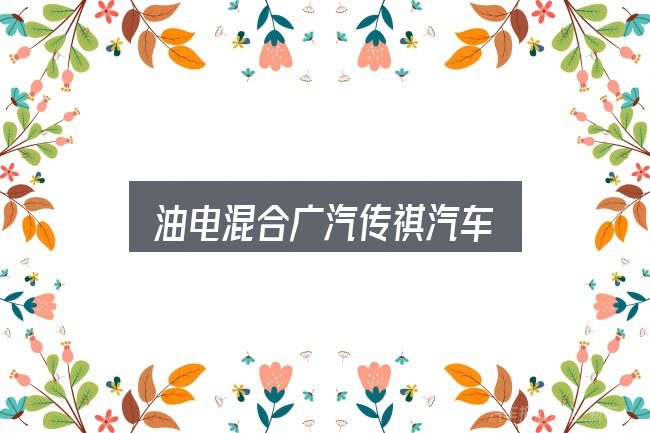 油电混合广汽传祺汽车是什么？判断标准与取舍思路