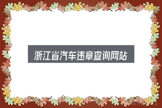 浙江省汽车违章查询网站实用指南：看完能少走弯路