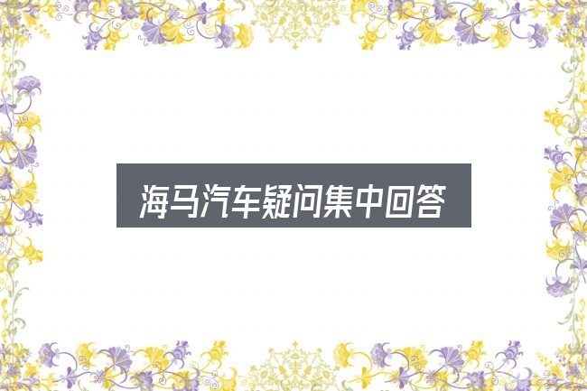 海马汽车疑问集中回答