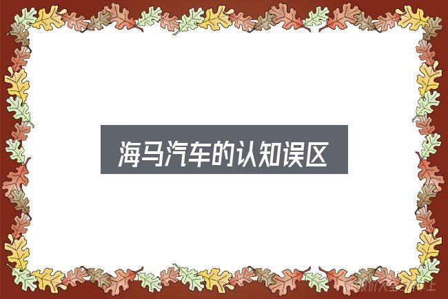 海马汽车的认知误区