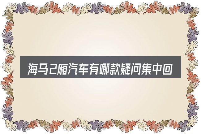 海马2厢汽车有哪款疑问集中回答