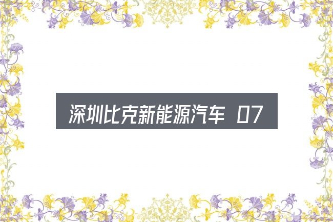 深圳比克新能源汽车 0755怎么选？从入门到精通的梳理
