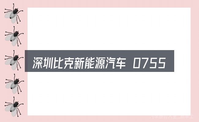 深圳比克新能源汽车 0755的关键环节