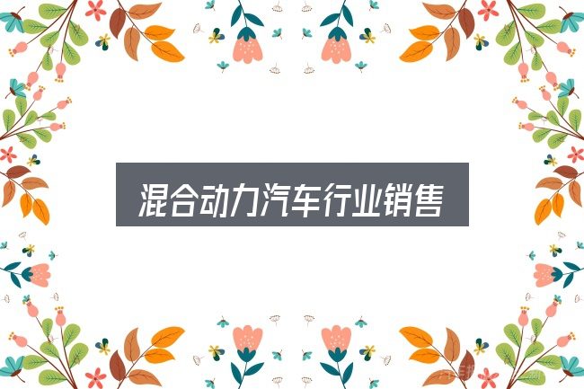 关于混合动力汽车行业销售，细节决定体验