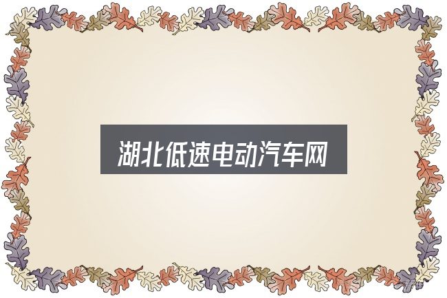 一文讲清湖北低速电动汽车网：从头梳理一遍逻辑