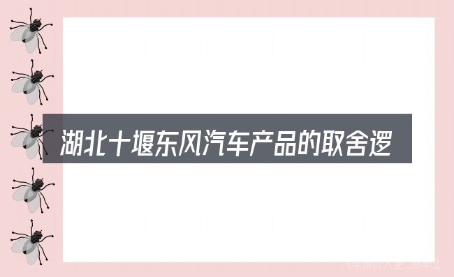 湖北十堰东风汽车产品的取舍逻辑