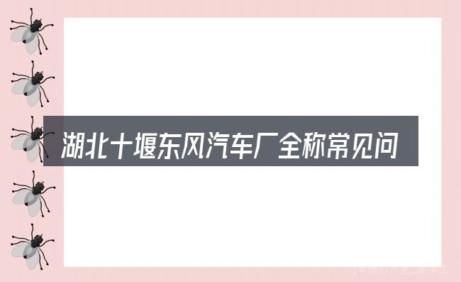 湖北十堰东风汽车厂全称常见问题解答