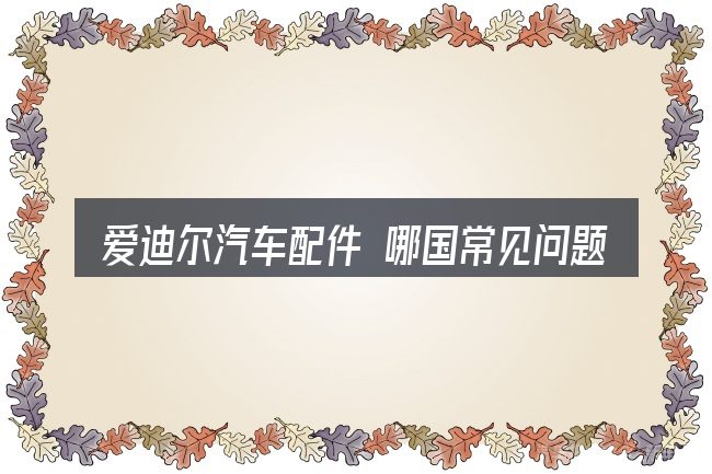 爱迪尔汽车配件 哪国常见问题解答