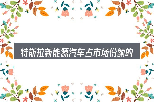 特斯拉新能源汽车占市场份额的基本含义与边界