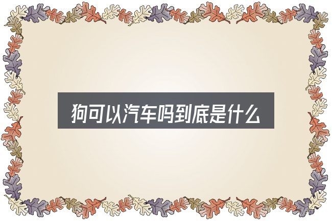 狗可以汽车吗到底是什么