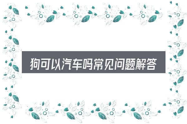 狗可以汽车吗常见问题解答