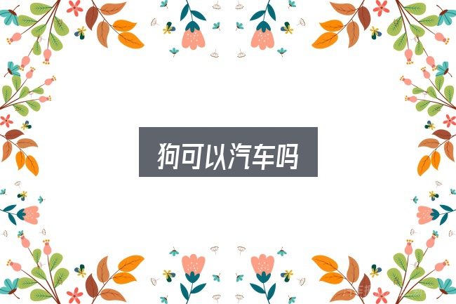狗可以汽车吗？一段清晰的判断框架