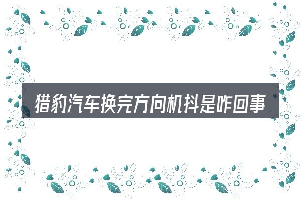 猎豹汽车换完方向机抖是咋回事的关键环节