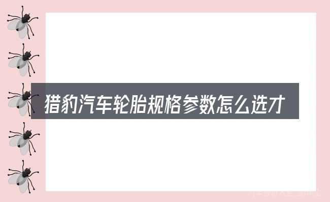 猎豹汽车轮胎规格参数怎么选才不容易出错