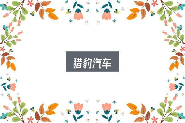 关于猎豹汽车，从场景出发的理解