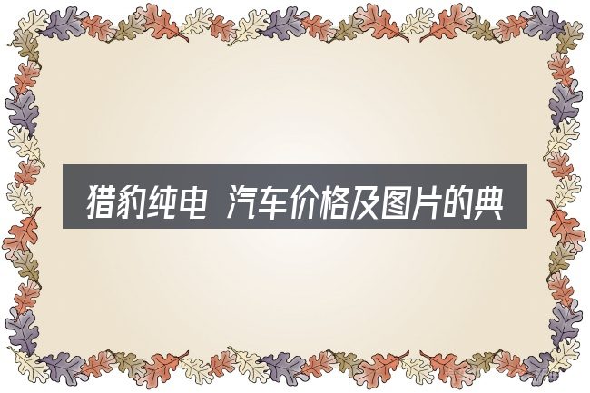 猎豹纯电 汽车价格及图片的典型使用场景