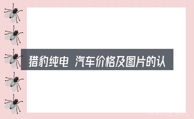 猎豹纯电 汽车价格及图片的认知误区