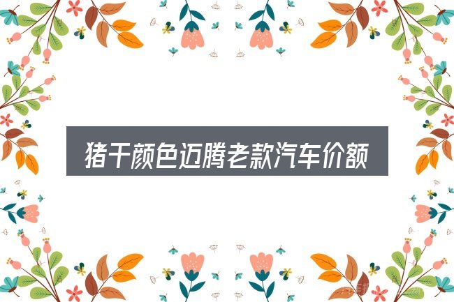 关于猪干颜色迈腾老款汽车价额与大图片，给第一次接触的人