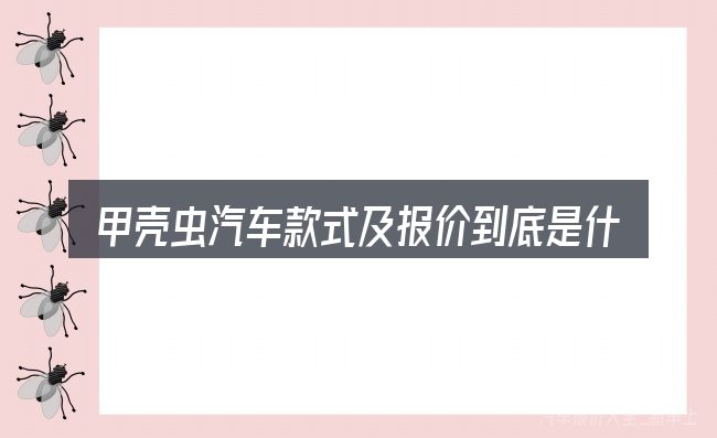 甲壳虫汽车款式及报价到底是什么