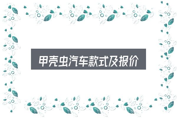 关于甲壳虫汽车款式及报价，关键环节逐一拆解