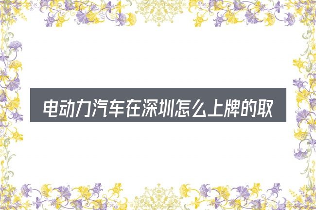 电动力汽车在深圳怎么上牌的取舍逻辑