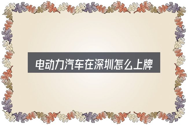 关于「电动力汽车在深圳怎么上牌」，避开这几种常见偏差