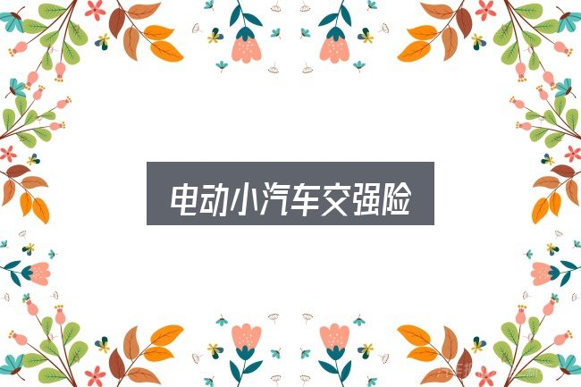 电动小汽车交强险实用指南：核心要点与常见问题