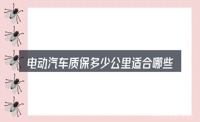 电动汽车质保多少公里适合哪些场景