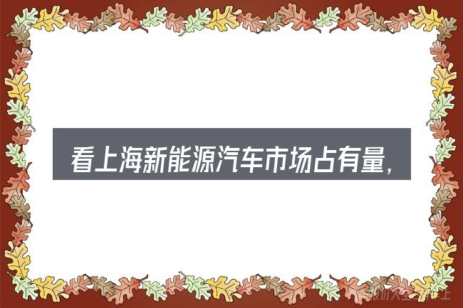 看上海新能源汽车市场占有量,重点看这几项