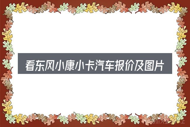 看东风小康小卡汽车报价及图片及报价图片,重点看这几项
