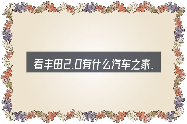 看丰田2.0有什么汽车之家,重点看这几项
