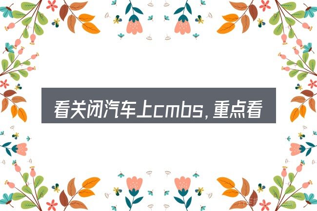 看关闭汽车上cmbs,重点看这几项