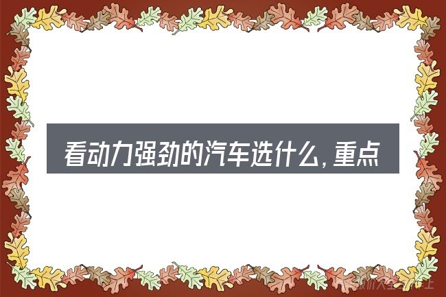 看动力强劲的汽车选什么,重点看这几项