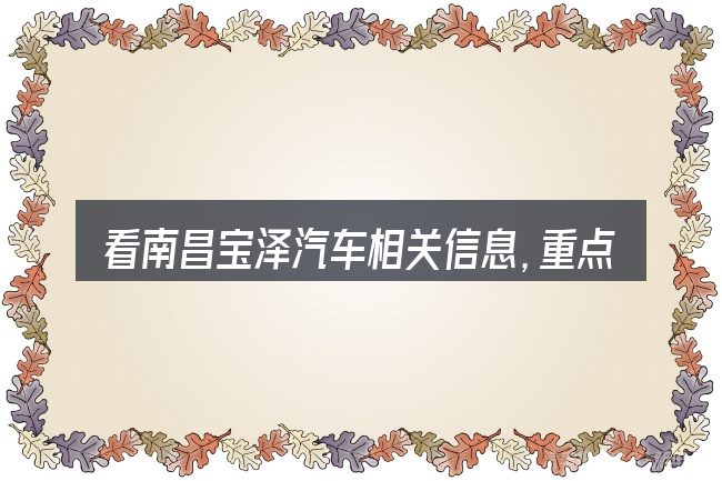 看南昌宝泽汽车相关信息,重点看这几项