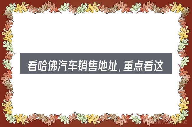 看哈佛汽车销售地址，重点看这几项