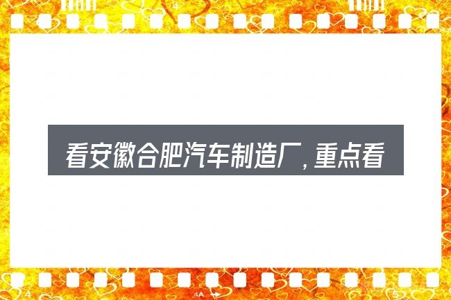 看安徽合肥汽车制造厂,重点看这几项