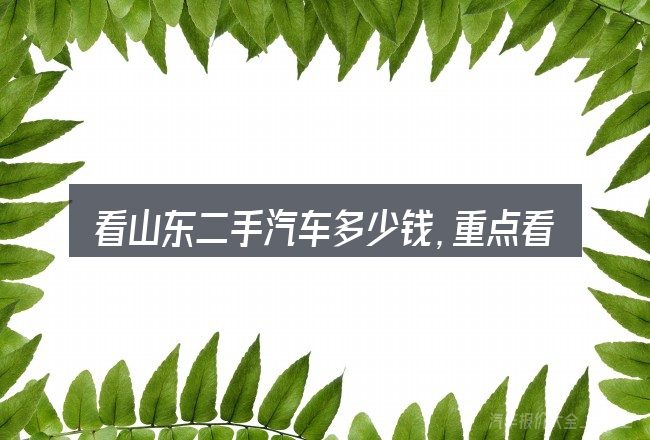 看山东二手汽车多少钱,重点看这几项