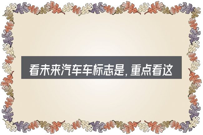 看未来汽车车标志是,重点看这几项
