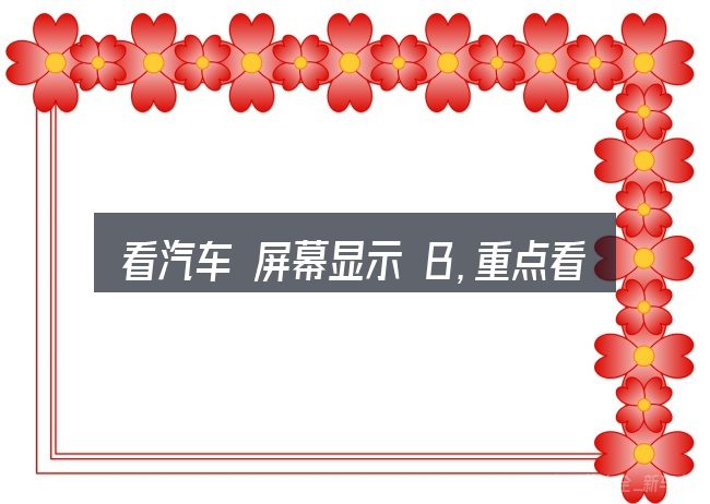 看汽车 屏幕显示 B,重点看这几项
