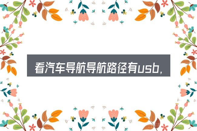 看汽车导航导航路径有usb,重点看这几项