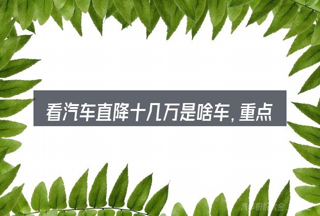 看汽车直降十几万是啥车,重点看这几项