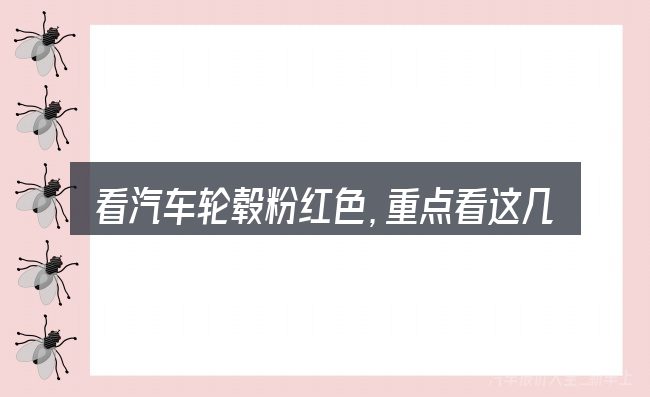 看汽车轮毂粉红色,重点看这几项