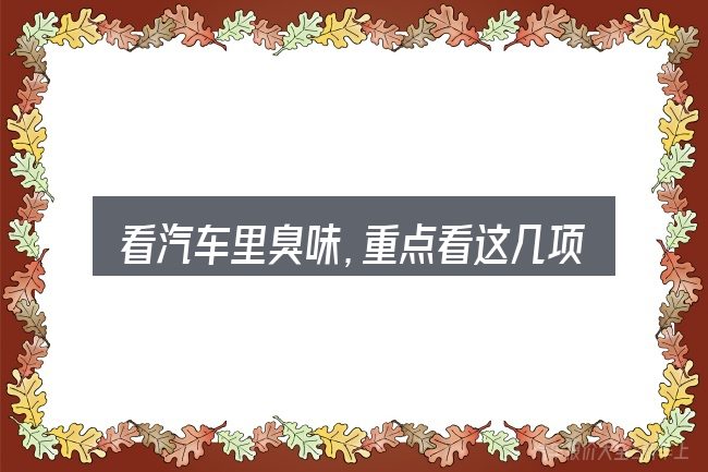 看汽车里臭味,重点看这几项