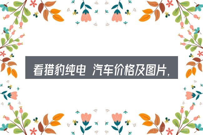 看猎豹纯电 汽车价格及图片,重点看这几项
