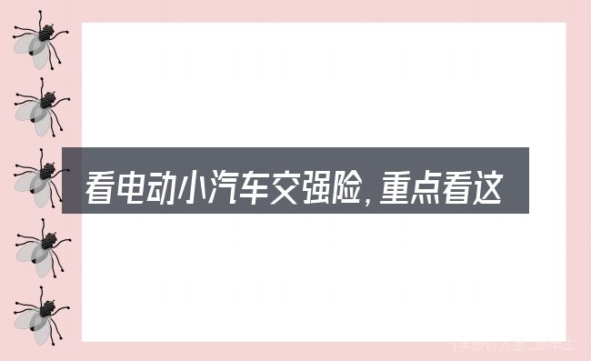 看电动小汽车交强险,重点看这几项